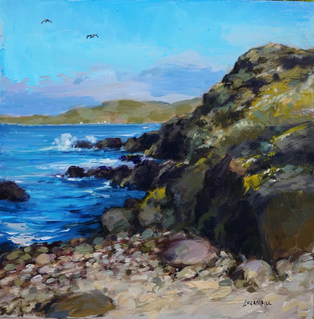 Rugged Kintyre coastline. 